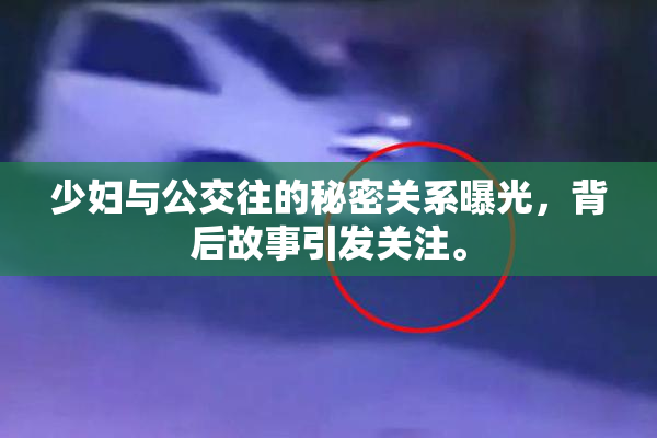 少妇与公交往的秘密关系曝光，背后故事引发关注。
