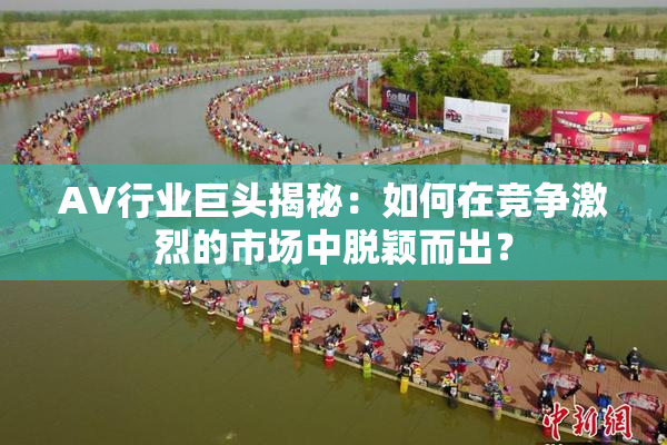 AV行业巨头揭秘：如何在竞争激烈的市场中脱颖而出？