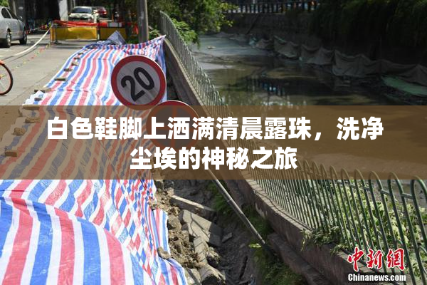 白色鞋脚上洒满清晨露珠，洗净尘埃的神秘之旅