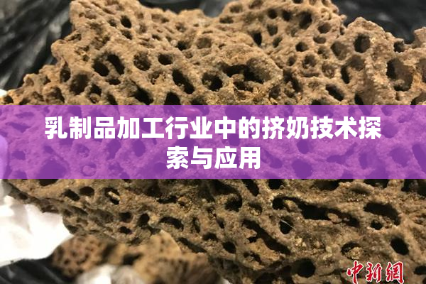 乳制品加工行业中的挤奶技术探索与应用