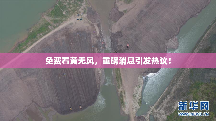 免费看黄无风，重磅消息引发热议！