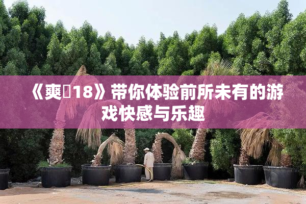 《爽擼18》带你体验前所未有的游戏快感与乐趣
