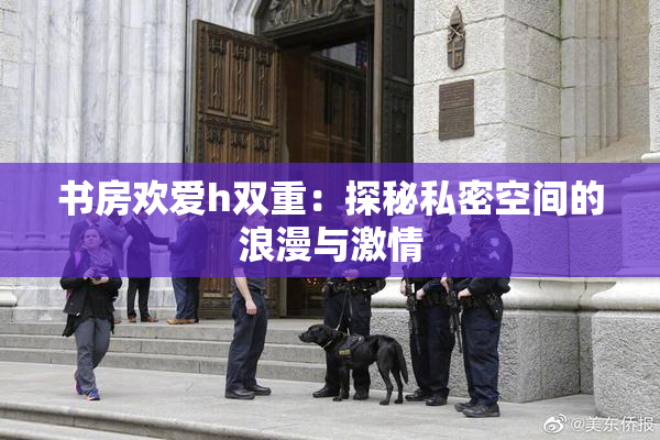 书房欢爱h双重：探秘私密空间的浪漫与激情
