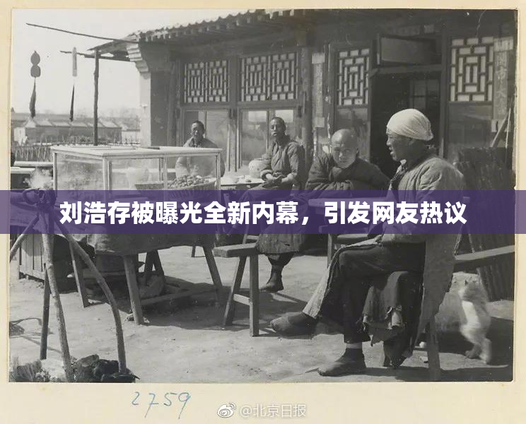 刘浩存被曝光全新内幕，引发网友热议