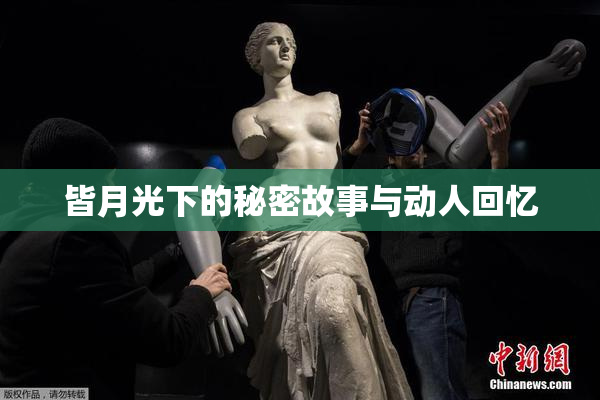 皆月光下的秘密故事与动人回忆