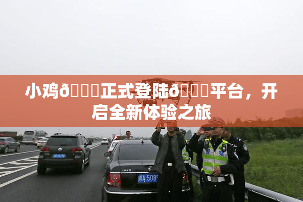 小鸡🐔正式登陆🍑平台，开启全新体验之旅