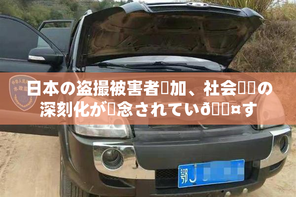 日本の盗撮被害者増加、社会問題の深刻化が懸念されてい🖤す