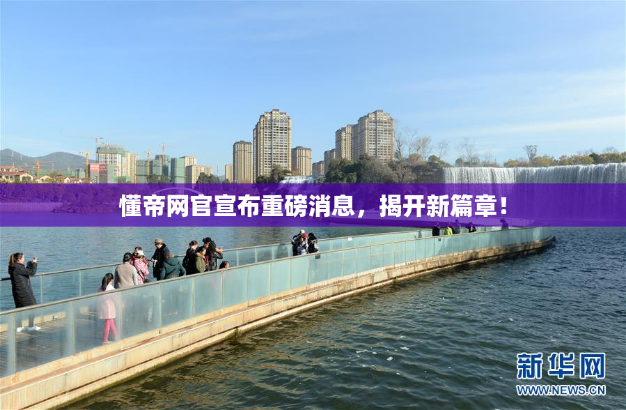 懂帝网官宣布重磅消息，揭开新篇章！
