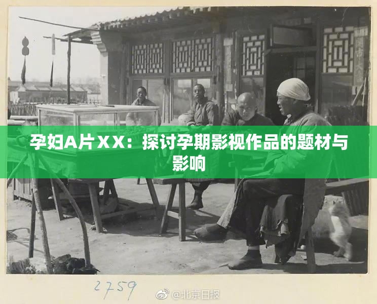 孕妇A片ⅩX：探讨孕期影视作品的题材与影响