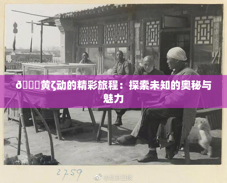 🔞黄ζ动的精彩旅程：探索未知的奥秘与魅力