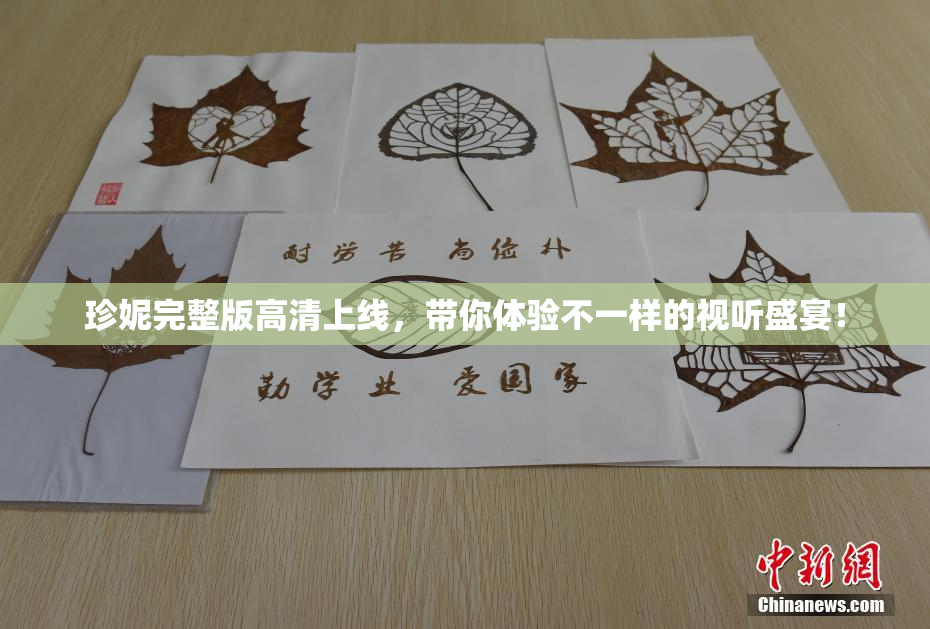 珍妮完整版高清上线，带你体验不一样的视听盛宴！