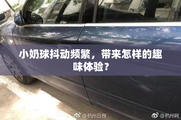 小奶球抖动频繁，带来怎样的趣味体验？