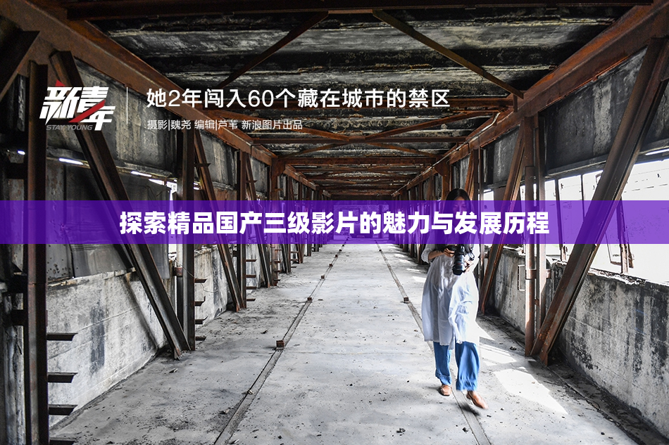探索精品国产三级影片的魅力与发展历程