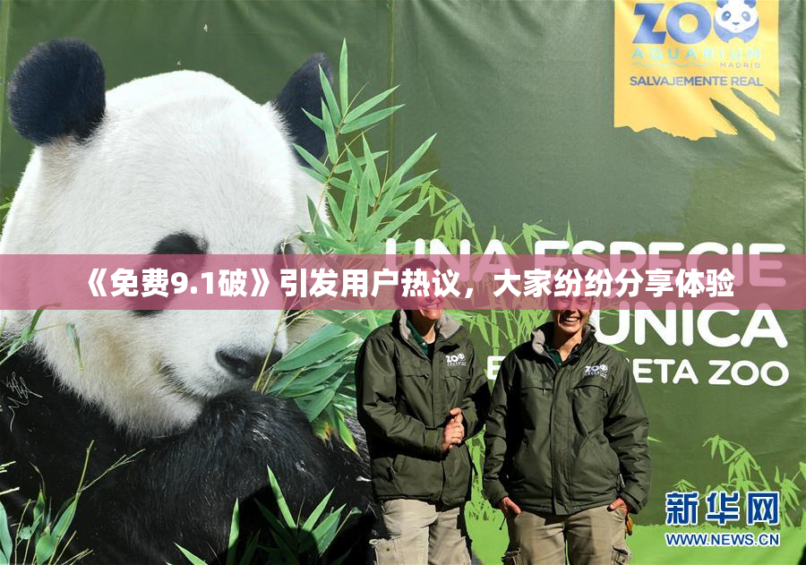 《免费9.1破》引发用户热议，大家纷纷分享体验
