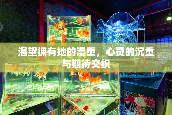 渴望拥有她的漫重，心灵的沉重与期待交织