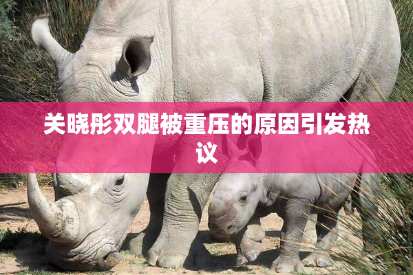 关晓彤双腿被重压的原因引发热议