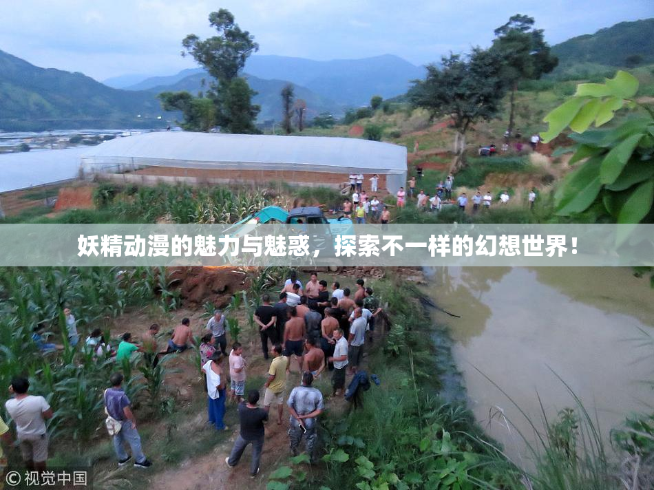 妖精动漫的魅力与魅惑，探索不一样的幻想世界！
