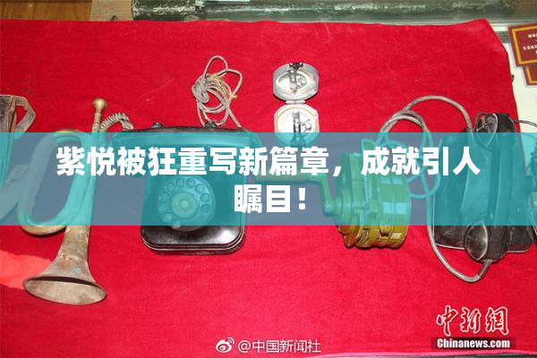 紫悦被狂重写新篇章，成就引人瞩目！