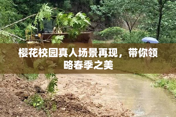 樱花校园真人场景再现，带你领略春季之美