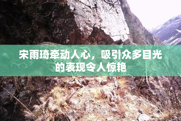 宋雨琦牵动人心，吸引众多目光的表现令人惊艳
