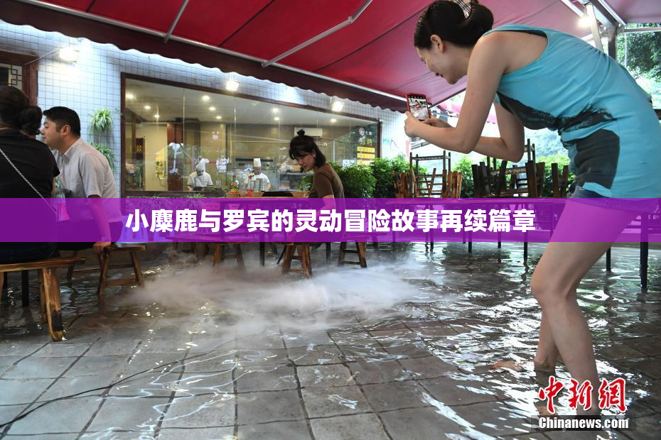小麋鹿与罗宾的灵动冒险故事再续篇章