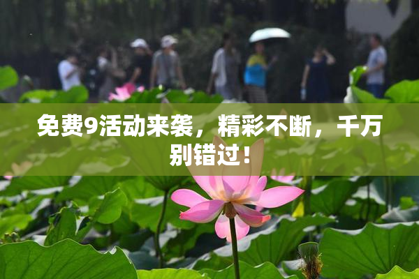免费9活动来袭，精彩不断，千万别错过！