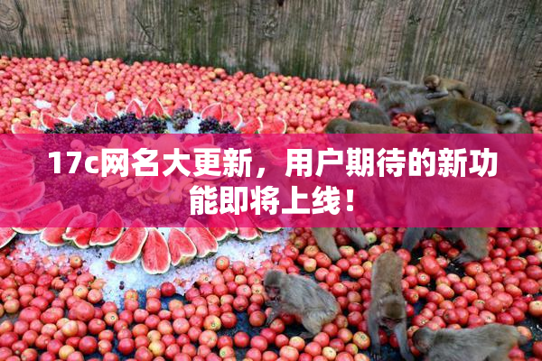 17c网名大更新，用户期待的新功能即将上线！