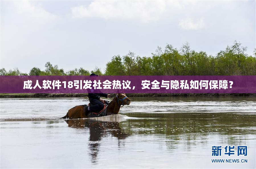 成人软件18引发社会热议，安全与隐私如何保障？