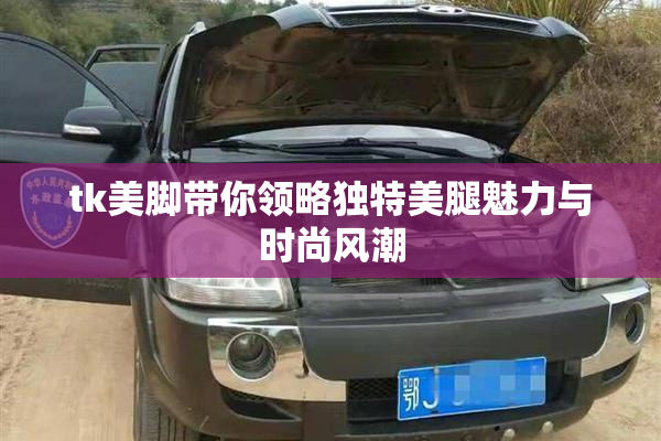 tk美脚带你领略独特美腿魅力与时尚风潮