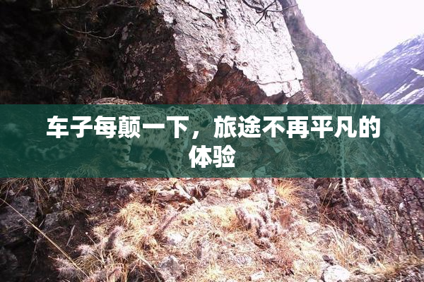 车子每颠一下，旅途不再平凡的体验