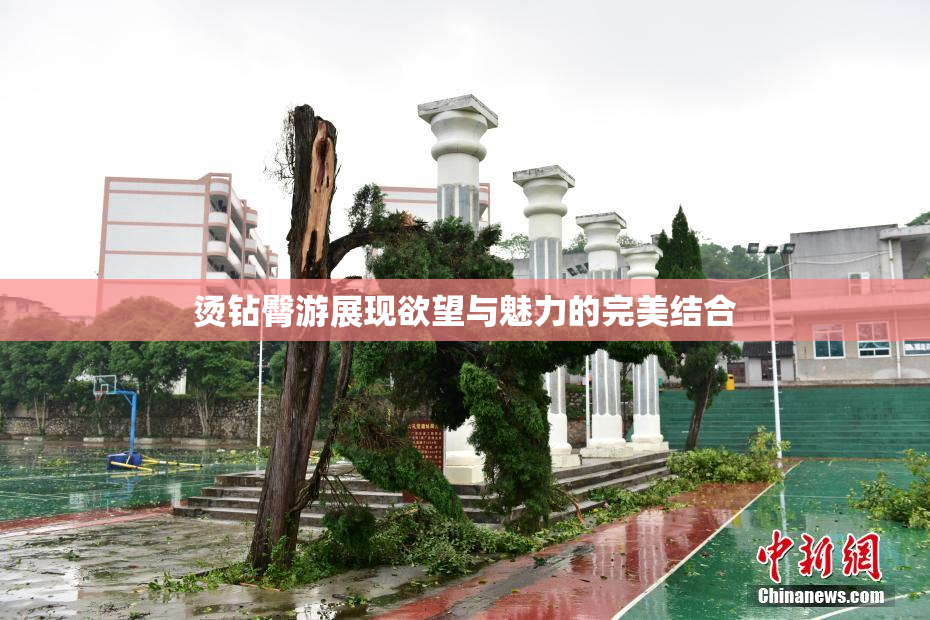 烫钻臀游展现欲望与魅力的完美结合