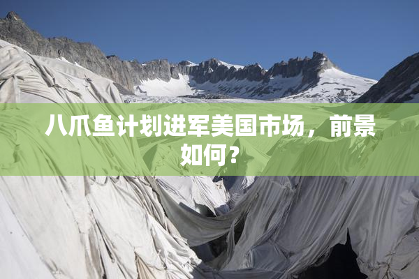八爪鱼计划进军美国市场，前景如何？