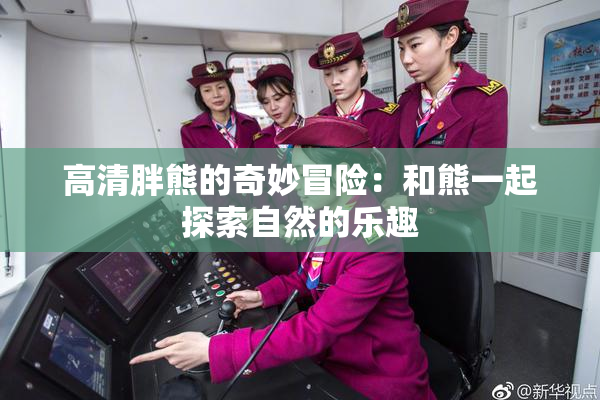 高清胖熊的奇妙冒险：和熊一起探索自然的乐趣