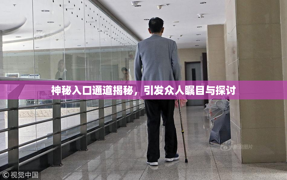 神秘入口通道揭秘，引发众人瞩目与探讨