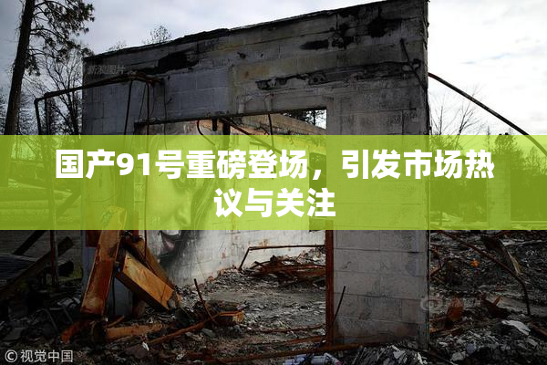 国产91号重磅登场，引发市场热议与关注