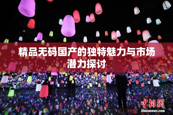 精品无码国产的独特魅力与市场潜力探讨