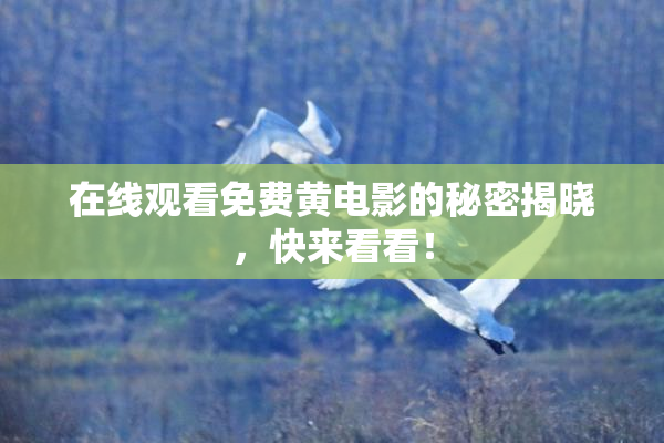 在线观看免费黄电影的秘密揭晓，快来看看！
