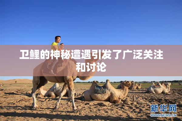 卫鲤的神秘遭遇引发了广泛关注和讨论