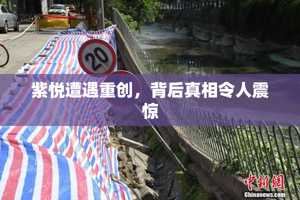 紫悦遭遇重创，背后真相令人震惊