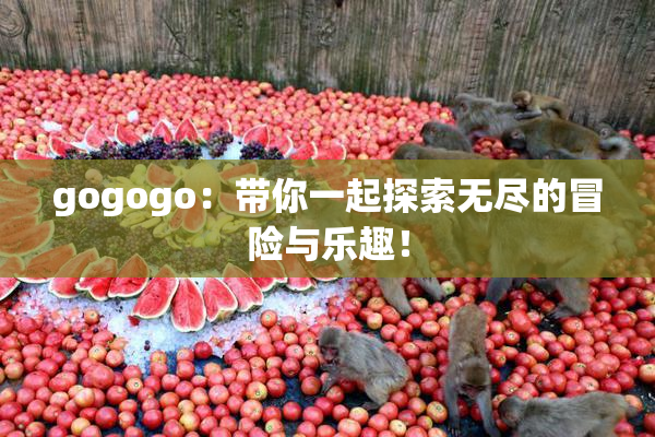 gogogo：带你一起探索无尽的冒险与乐趣！