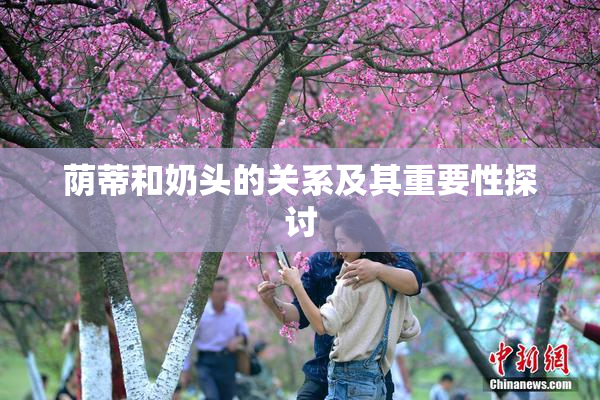 荫蒂和奶头的关系及其重要性探讨