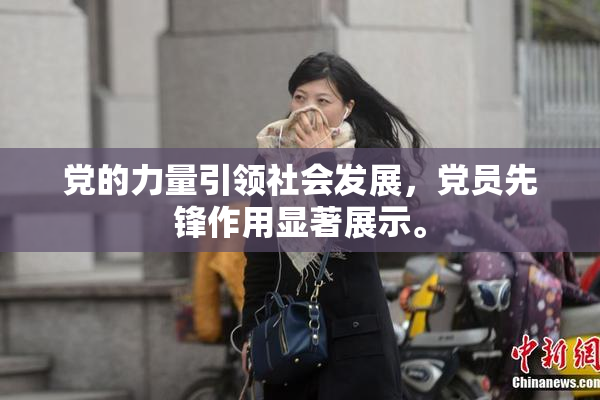 党的力量引领社会发展，党员先锋作用显著展示。