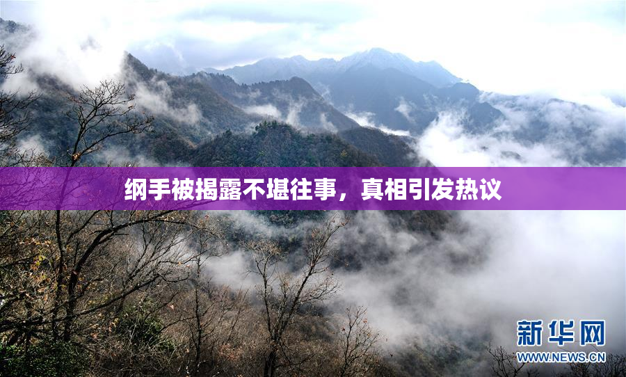 纲手被揭露不堪往事，真相引发热议