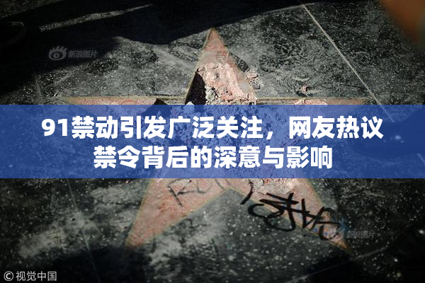 91禁动引发广泛关注，网友热议禁令背后的深意与影响