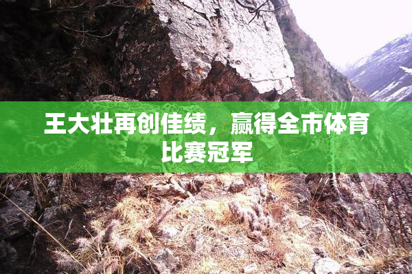 王大壮再创佳绩，赢得全市体育比赛冠军