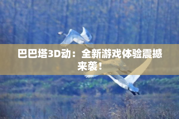 巴巴塔3D动：全新游戏体验震撼来袭！