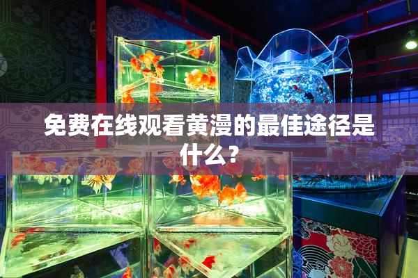 免费在线观看黄漫的最佳途径是什么？