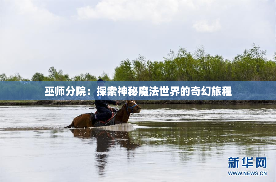 巫师分院：探索神秘魔法世界的奇幻旅程