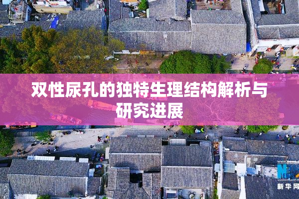 双性尿孔的独特生理结构解析与研究进展