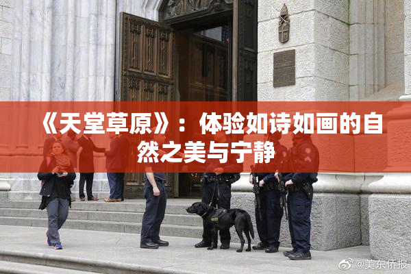 《天堂草原》：体验如诗如画的自然之美与宁静